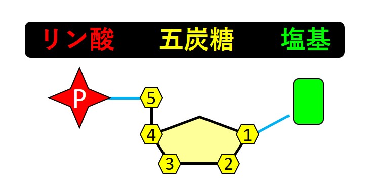 図